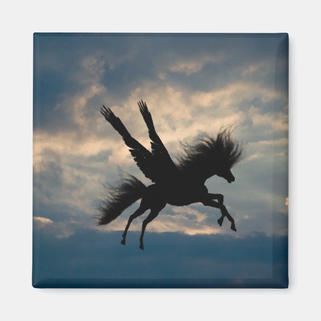 Abend Flight Magnet (Vorne)