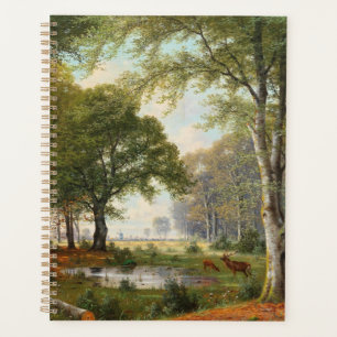 Abend Forest Landschaft Planer
