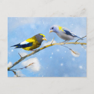 Abend Grosbeak Malerei - Niedliche Original Hunde Postkarte