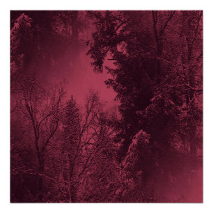 Abend im Winter... Poster