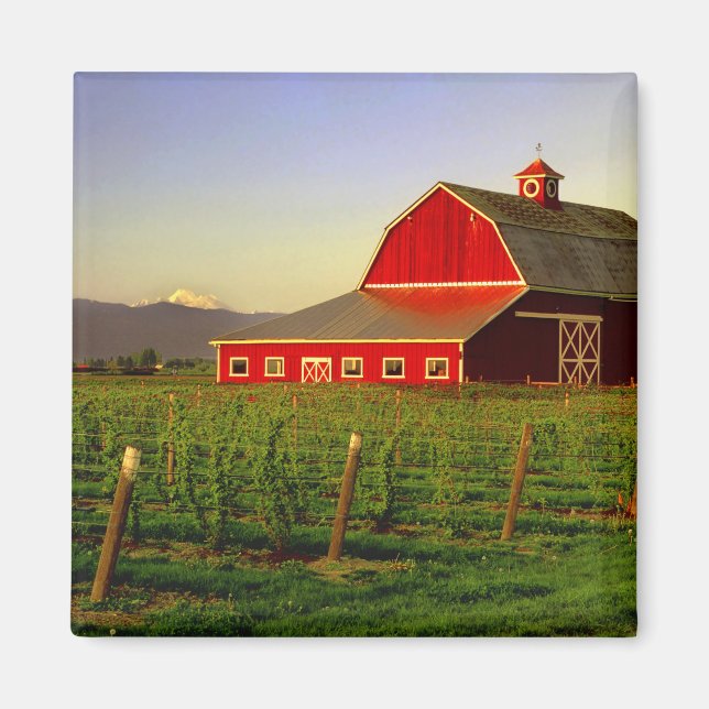 Abend in einer Scheune im Washingtoner Skagit Magnet (Vorne)
