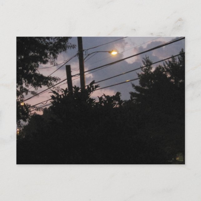 Abend-Silhouetten Postkarte (Vorderseite)