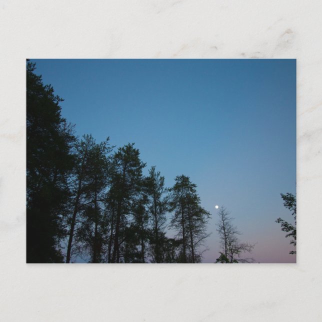 Abend Sky Over Elk Lake, Michigan Postkarte (Vorderseite)