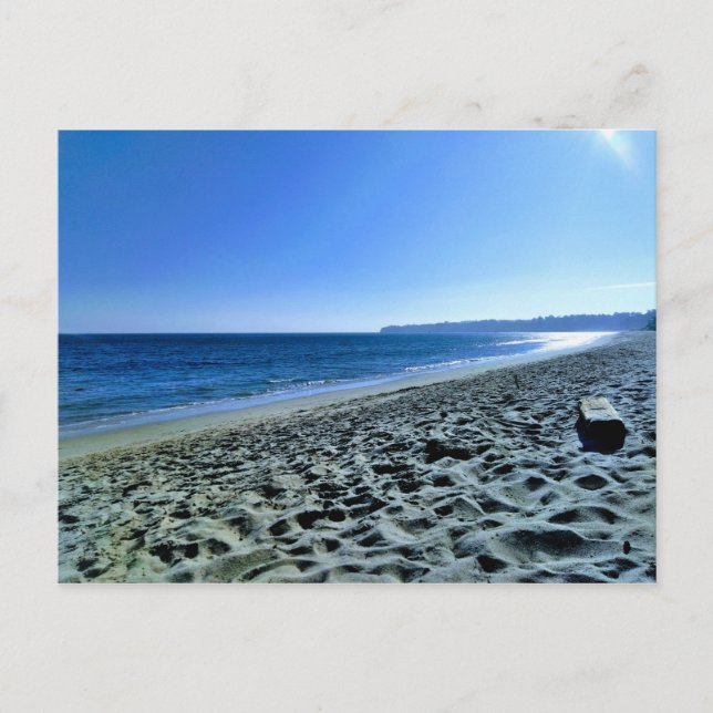 Abendessen am Strand von Malibu Postkarte (Vorderseite)