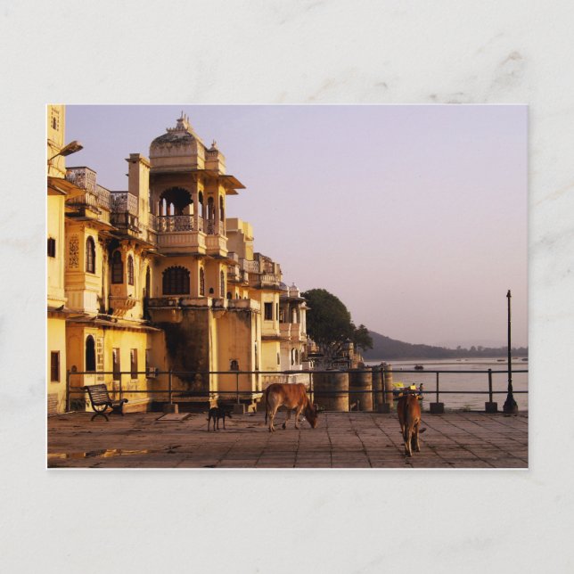 Abendessen bei Ganghaur Ghat, Udaipur, Rajasthan,  Postkarte (Vorderseite)