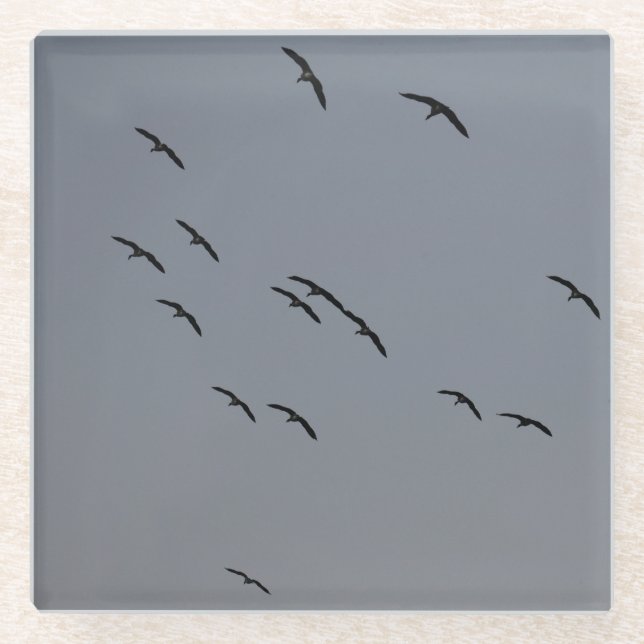 Abendflug  glasuntersetzer (Vorderseite)