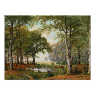 Abendliche Waldlandschaft Poster