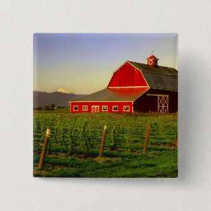 Abendsonne auf einer Scheune in Washingtons Skagit Button