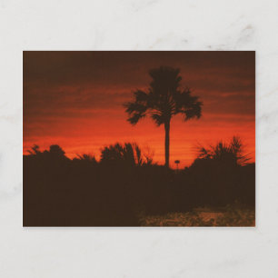 Abendstimmung, Senegal Postkarte