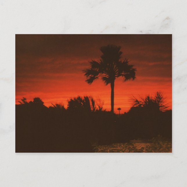 Abendstimmung, Senegal Postkarte (Vorderseite)