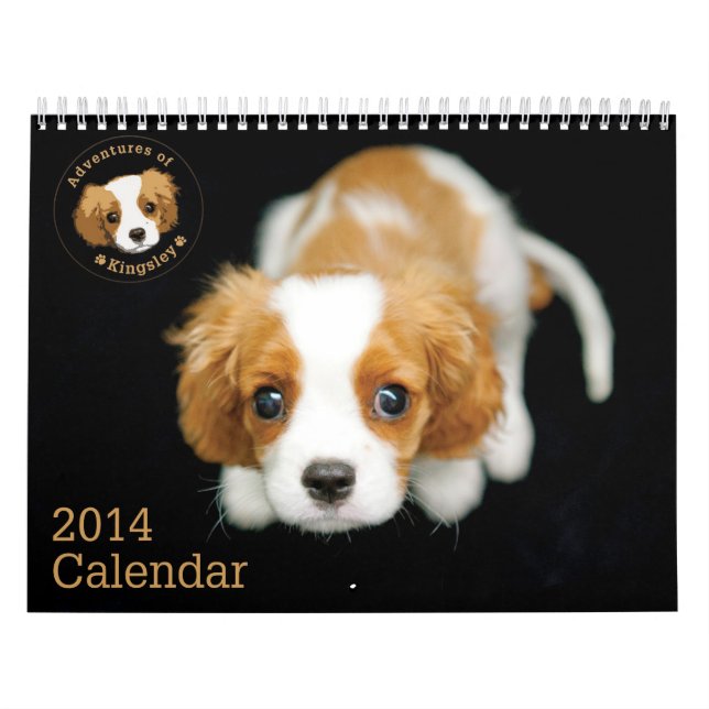 Abenteuer von Kingsley 2014 Kalender (Titelbild)