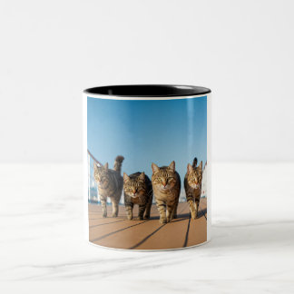 Abenteuerliche Cat Cruise Tasse