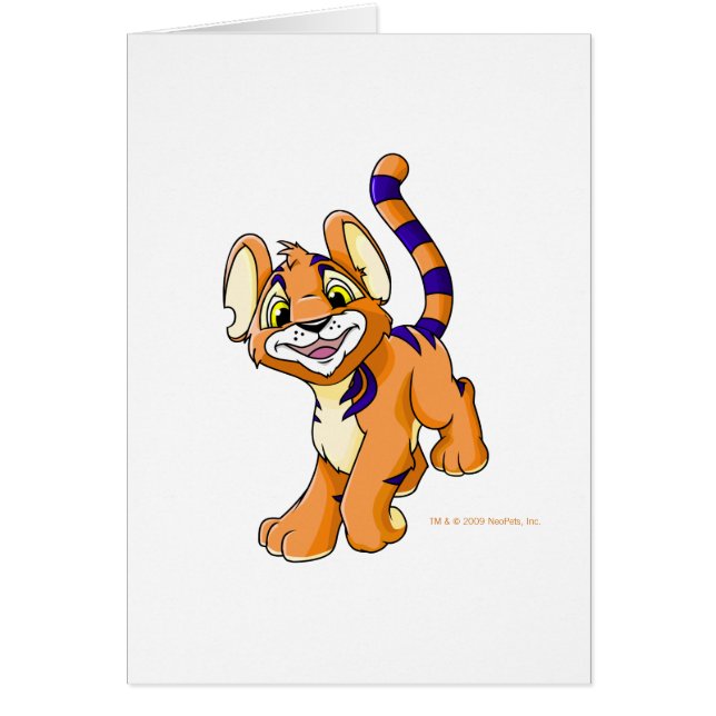 Abenteuerliches orange Kougra (Vorne)