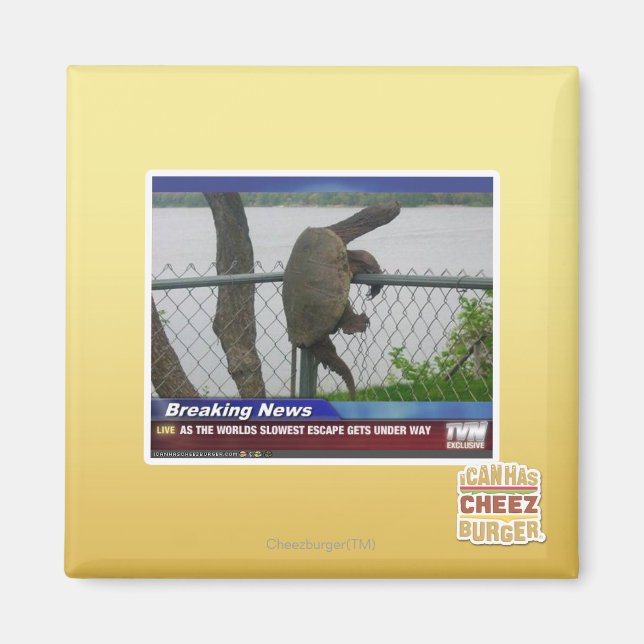 Abenteuerschildkröte Magnet (Vorne)