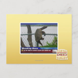 Abenteuerschildkröte Postkarte