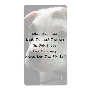 Aber die Pitbull