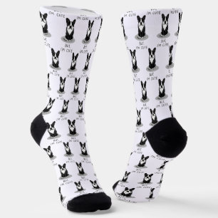 Aber ich bin Niedlich Boston Terrier (schwarzer) W Socken
