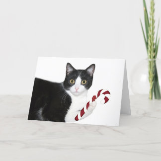 Aber ich wollte Katzenminze! Feiertagskarte