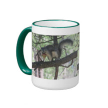 Aberts Eichhörnchen