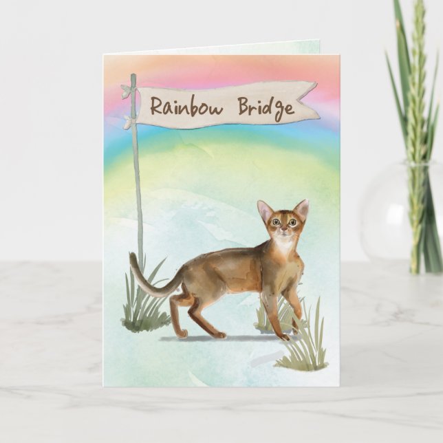 Abessiner Katzen Beileid über Regenbogenbrücke Karte (Vorderseite)