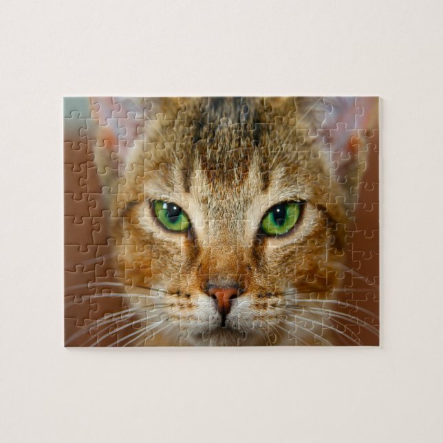 Abessinienkatze. (Horizontal)