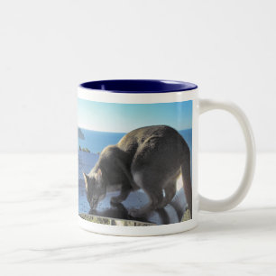 Abessinienkatze am Meer Zweifarbige Tasse