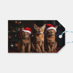 Abessinier am Feuerplatz Weihnachten Geschenkanhänger