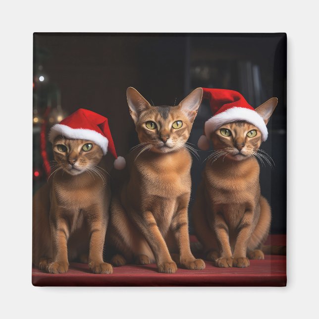 Abessinier am Feuerplatz Weihnachten Magnet (Vorne)