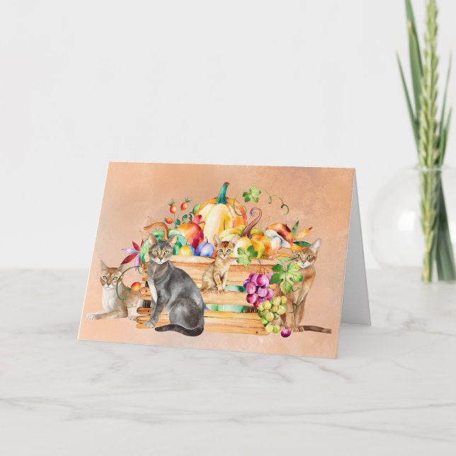 Abessinierkatzen mit Pumpkins-Erntedank Karte (Vorderseite)