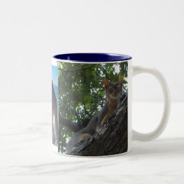 Abessinikatzen Zweifarbige Tasse