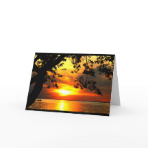 Abfahrt in den Sunset Retirement Spaß