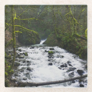 Abfahrt von Bridal Veil Falls, Oregon Glasuntersetzer