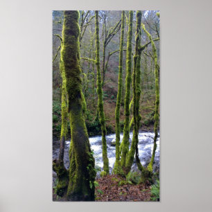 Abfahrt von Bridal Veil Falls, Oregon Poster