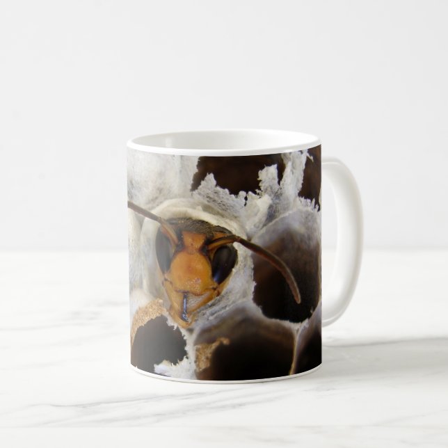 Abfall aus der Tasse des Nestbugs (VorderseiteRechts)