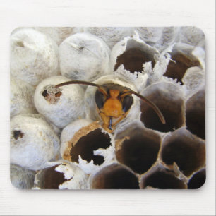 Abfall aus Nestmütze Mousepad