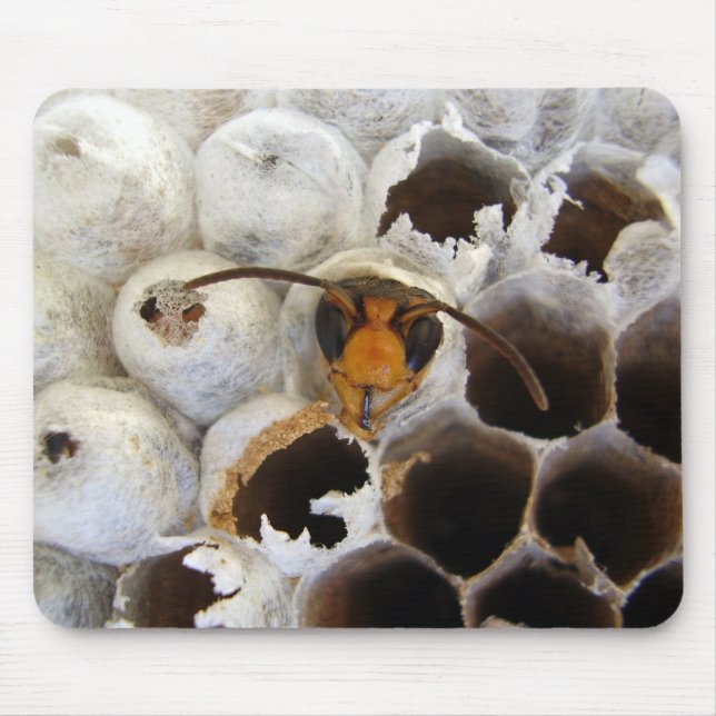Abfall aus Nestmütze Mousepad (Vorne)