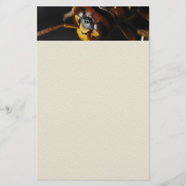 Abfall Briefpapier (Vorderseite)