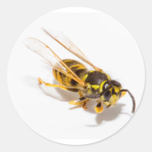 Abfall Runder Aufkleber