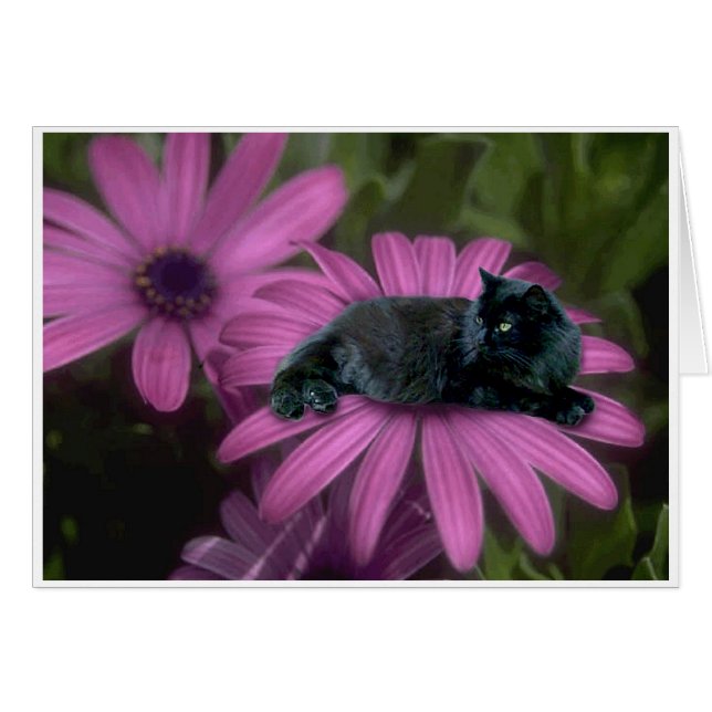 Abgabe (Vorderseite (Horizontal))