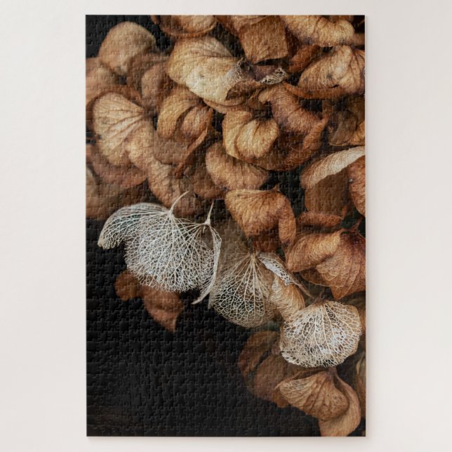 Abgeblendetes Hydrangea (Vertikal)