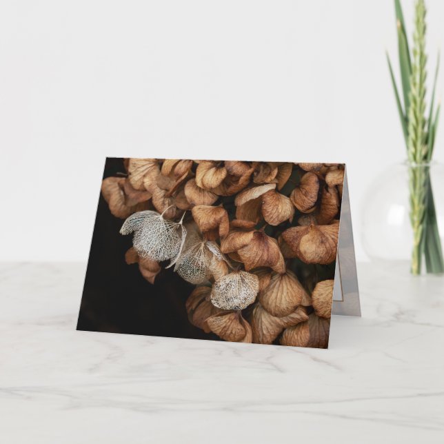 Abgeblendetes Hydrangea Karte (Vorderseite)