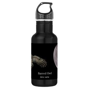Abgehaltene Eule gegen eine Vollmond-Tasse Edelstahlflasche