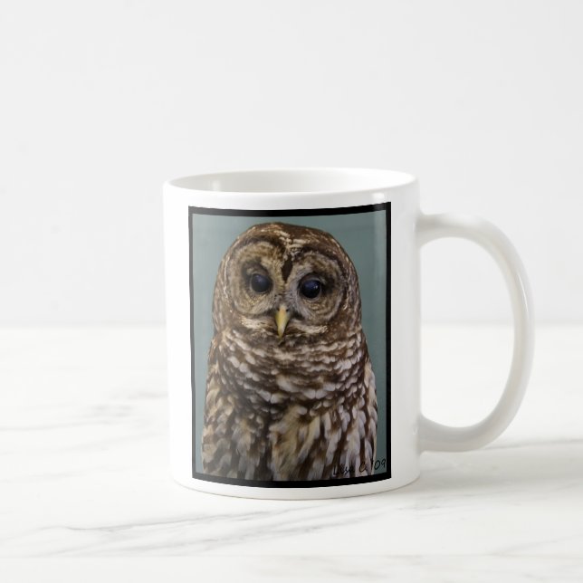 Abgehaltene Eule Kaffeetasse (Rechts)