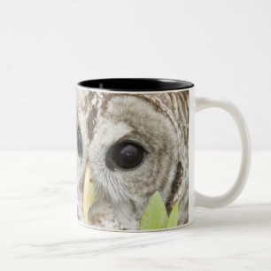 Abgehaltene Eule Zweifarbige Tasse