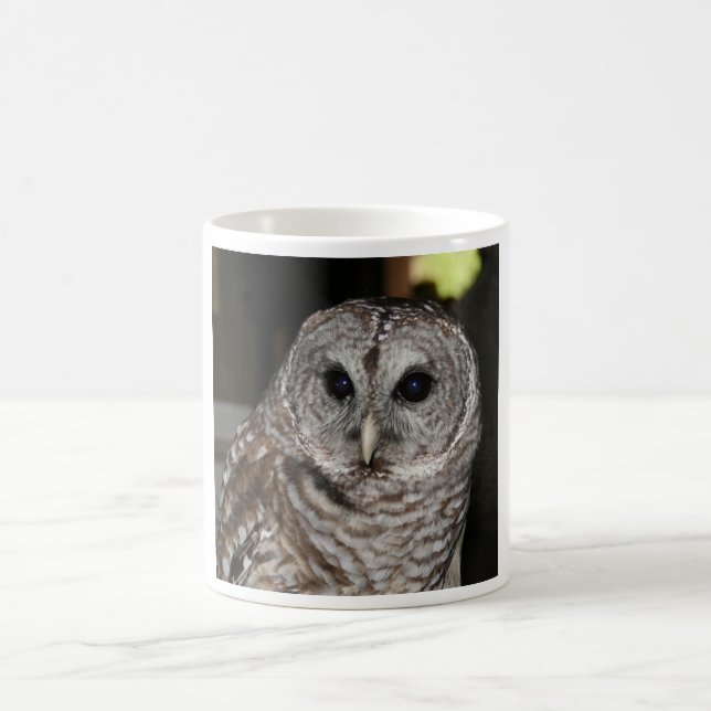 Abgehaltene Eulen-Kaffee-Tasse Kaffeetasse (Mittel)