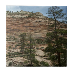 Abgenutzte Felsmauern im Zion-Nationalpark Fliese