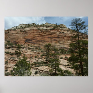 Abgenutzte Felsmauern im Zion-Nationalpark Poster