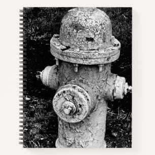 Abgenutzter abgesplitterter rostiger alter Feuerhy Notizbuch