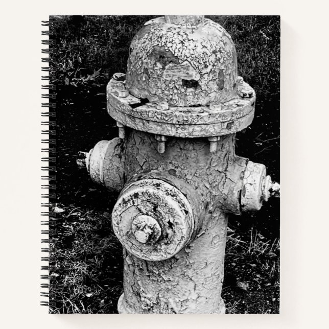 Abgenutzter abgesplitterter rostiger alter Feuerhy Notizbuch (Vorderseite)