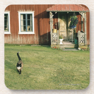 Abgenutztes rotes Haus mit einer Katze auf dem Untersetzer